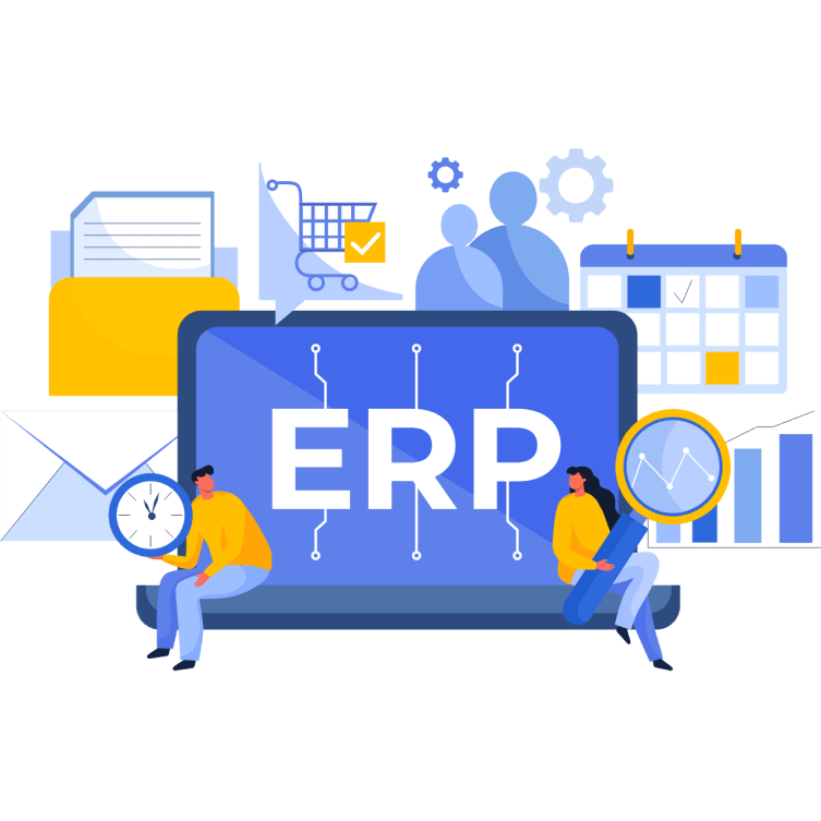 Custom ERP Solutions
